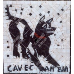 Kit Cave Canem